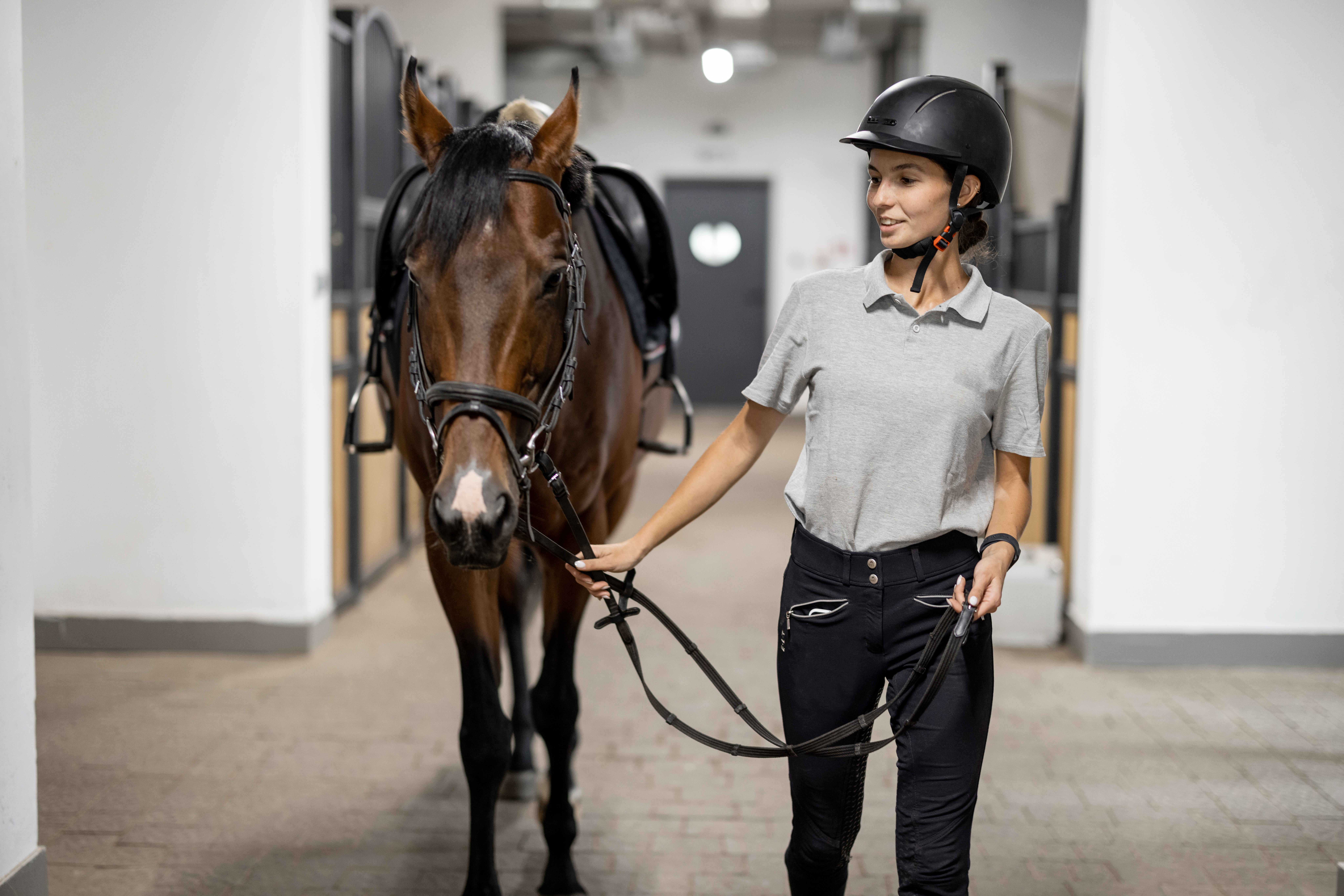 Horseman going with Thoroughbred horse near stable